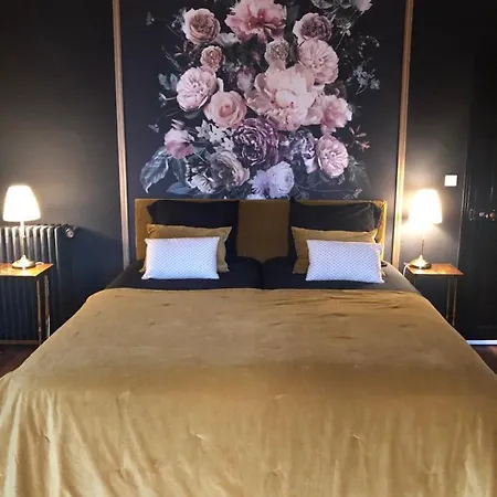 Maison De La Comtesse Bed & Breakfast *
